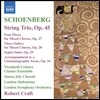Robert Craft 쇤베르크: 현악 삼중주 (Arnold Schoenberg: String Trio, Op. 45)