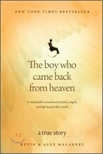 The Boy Who Came Back from Heaven