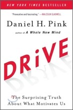 Drive: The Surprising Truth about What Motivates Us