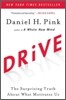Drive: The Surprising Truth about What Motivates Us