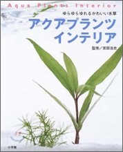 アクアプランツインテリア