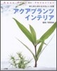 アクアプランツインテリア