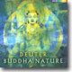 Deuter - Buddha Nature