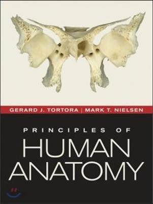 Principles of Human Anatomy