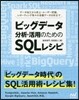 ビッグデ-タ分析.活用のためのSQLレシ