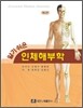 인체 해부학