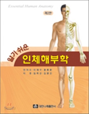 인체 해부학