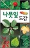나뭇잎 도감