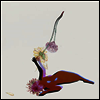 Future Islands - Far Field (Vinyl LP)