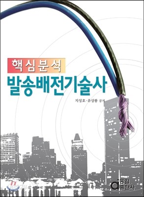 핵심분석 발송배전 기술사