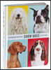 Show Dogs