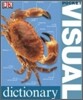 Pocket Visual Dictionary