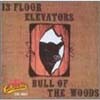 13Th Floor Elevators - Bull Of The Woods