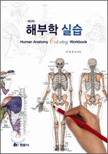 해부학 실습