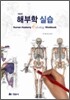 해부학 실습