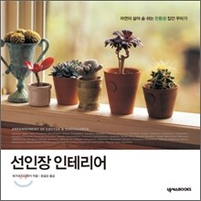선인장 인테리어