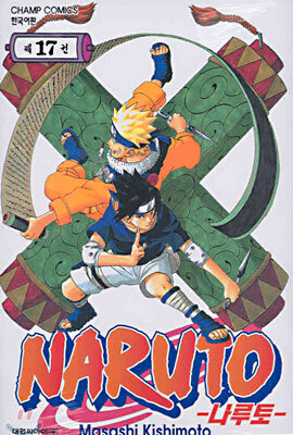 NARUTO 나루토 17