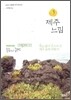 제주 느낌