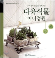다육식물 미니정원