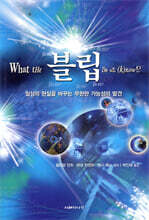 블립