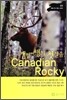 캠핑 여행의 첫걸음, 캐내디언 로키 Canadian Rocky