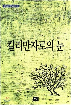 킬리만자로의 눈