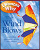 I Wonder Why the Wind Blows: And Other Questions about Our Planet