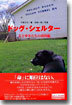 ドッグ.シェルタ-