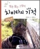 양손 없는 고양이 치비타의 기적