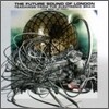 Future Sound Of London - Teachings From The Electric Brain: Best Of Fsol