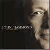 John Hammond Jr. - Wicked Grin