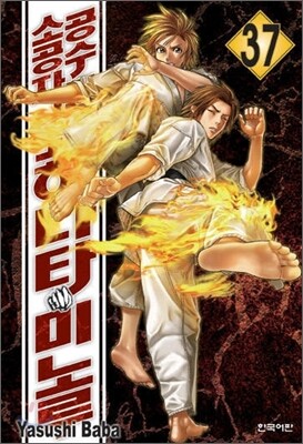 공수도 소공자 코히나타 미노루 37