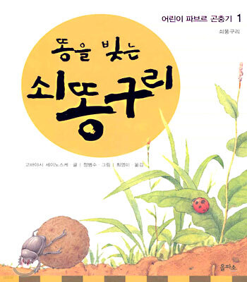 똥을 빚는 쇠똥구리