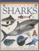 Pockets : Shark