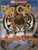 Eye Wonder : Big Cats