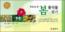 봄 꽃식물 찾기