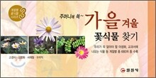 가을 겨울 꽃식물 찾기