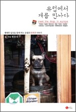 유럽에서 개를 만나다