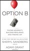 Option B