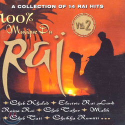 100% Musique Du Rai Vol.2