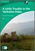 A Little Trouble in the Yorkshire Dales