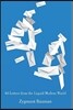 44 Letters from the Liquid Modern World