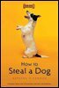 How to Steal a Dog