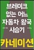 카네이션