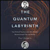 The Quantum Labyrinth: How Richard Feynman and John Wheeler Revolutionized Time and Reality