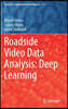 Roadside Video Data Analysis: Deep Learning
