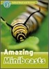 Read and Discover 3: Amazing Minibeasts