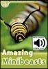Read and Discover 3: Amazing Minibeasts (with MP3)