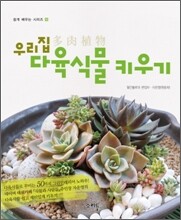 우리집 다육식물 키우기