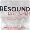 Martin Haselbock 리사운드 베토벤 5집 - 교향곡 9번 '합창' (Re-Sound Beethoven Vol.5 - Beethoven: Symphony Op.125 'Choral') 마르틴 하젤뵈크, 빈 아카데미 오케스트라